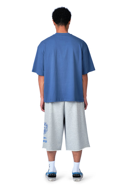 LMR College T-shirt Washed Blue