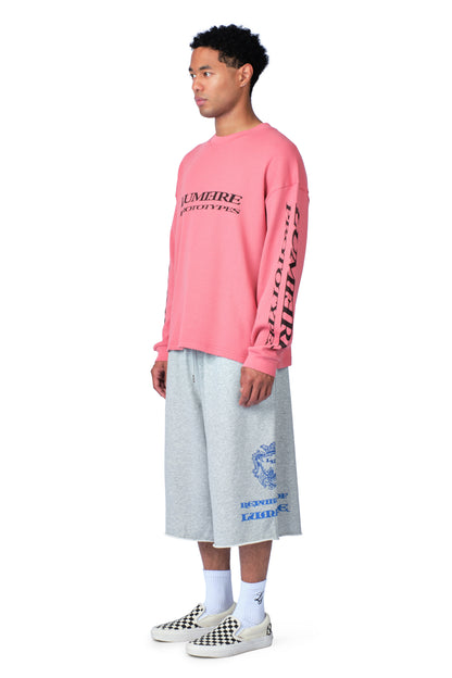 Prototypes Longsleeve Pink