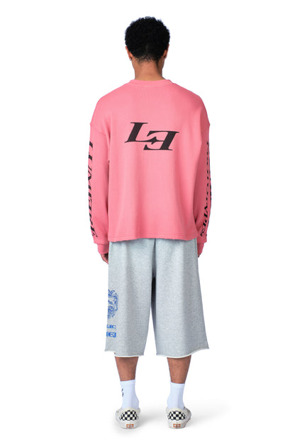Prototypes Longsleeve Pink