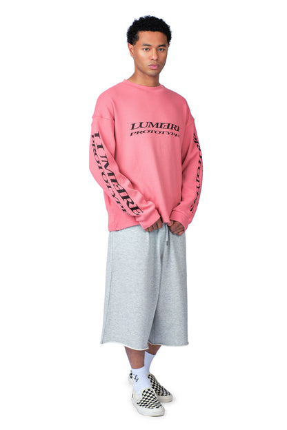 Prototypes Longsleeve Pink