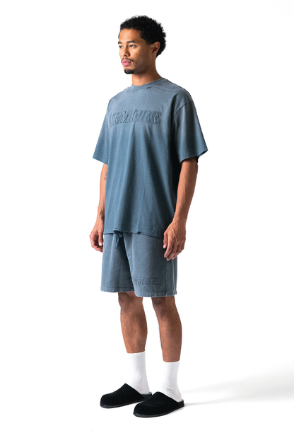 Fade Logo Short Washed Grey