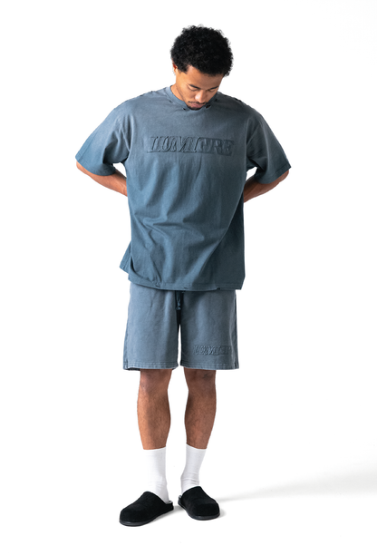 Fade Logo Short Washed Grey
