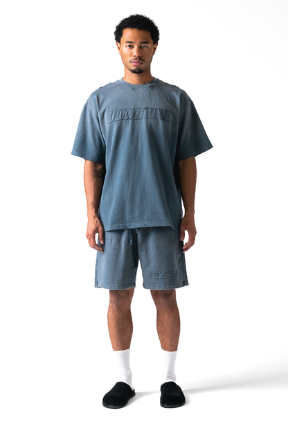 Fade Logo Short Washed Grey