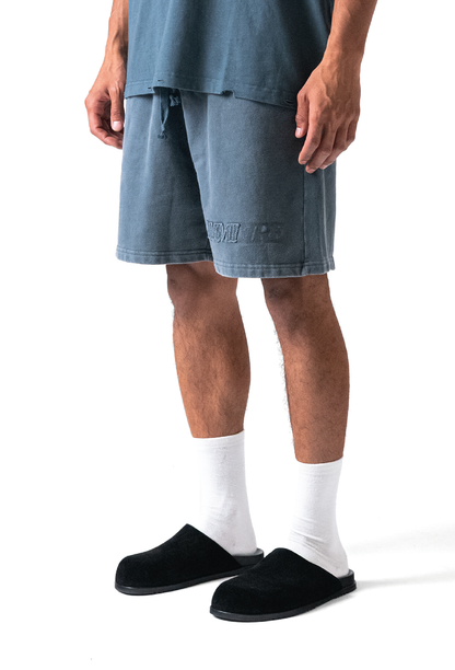 Fade Logo Short Washed Grey